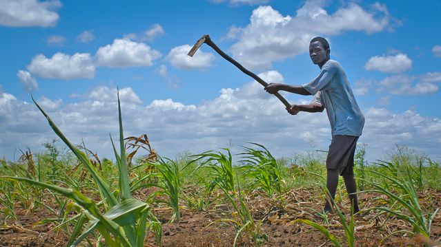THE ROLE OF SOCIALIZATION IN BOOSTING GHANA’S AGRIC SECTOR