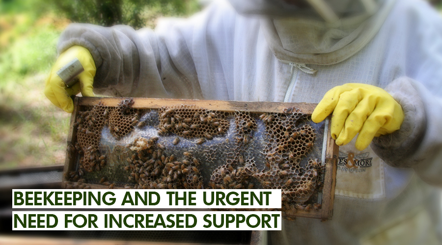 BEEKEEPING AND THE URGENT NEED FOR INCREASED SUPPORT
