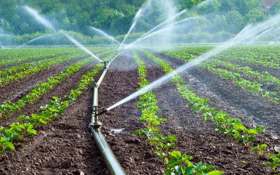 IRRIGATED AGRICULTURE AS A PATH FOR INCREASED FOOD PRODUCTION