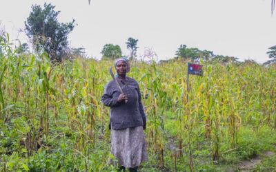 Cultivating Hope and Empowering Communities: The Remarkable Journey of Doris Dafada, a Resilient 56-Year-Old Farmer
