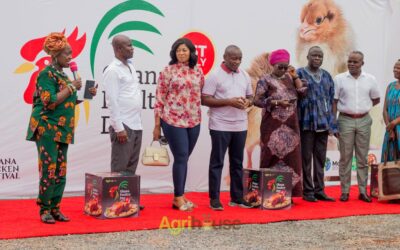 Ghana Poultry Day / 3rd Ghana Chicken Festival Successfully Held, Advocacy for Poultry Sector Gains Momentum