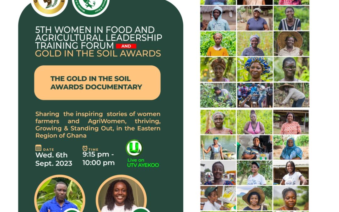 Gold in the Soil Awards documentary airs on Ayekoo on UTV, Wednesday, 6th September, 2023 at 9:15 pm