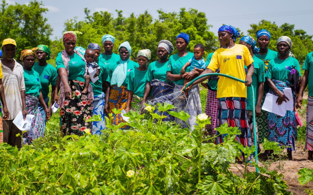 EU-Ghana Agriculture Programme (EUGAP) Renews Partnership with Agrihouse Foundation for 13th Annual Pre-Harvest Agribusiness Conference and Exhibition